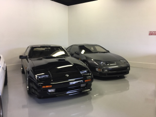 A pair of fair ladies